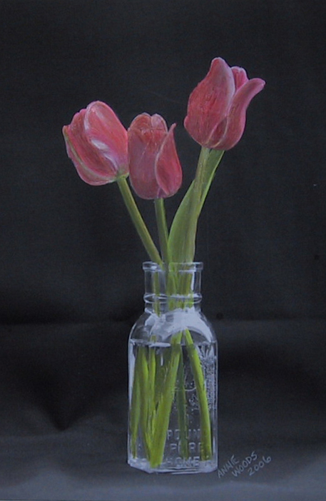 Colored Pencil on Photo of Tulips